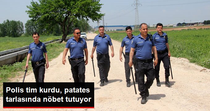 Polisler, Başakçılara Karşı Patates Tarlasında Nöbet Tuttu