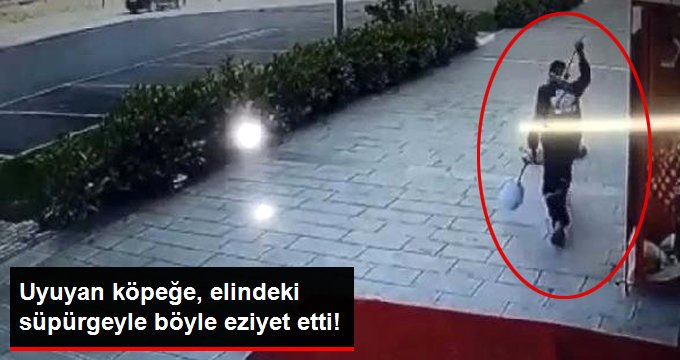 Temizlik Görevlisi, Uyuyan Köpeğe Elindeki Süpürgeyle Acımasızca Vurdu! Dehşet Anları Kamerada