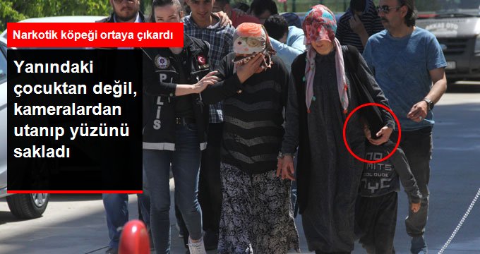 Kadının, Vücuduna Sardığı Esrarı Narkotik Köpeği Ortaya Çıkardı