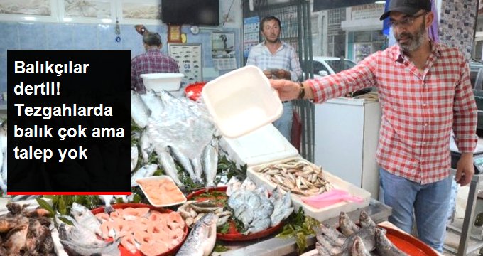 Ordu’da balık çok ama talep yok