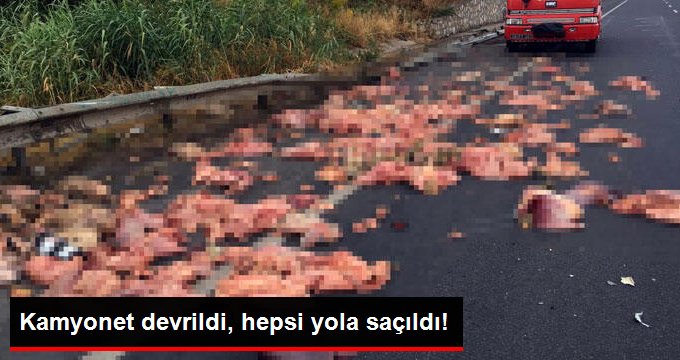 Kamyonet devrildi, kasasındaki sakatatlar yola saçıldı