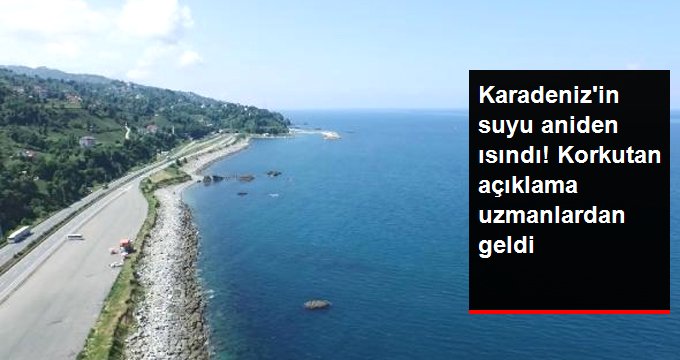 Karadeniz’de suyun ısısı aniden yükseldi! Uzmanlardan açıklama geldi