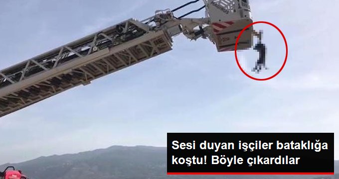 Batağa saplanan yavru köpeği vinçle kurtardılar