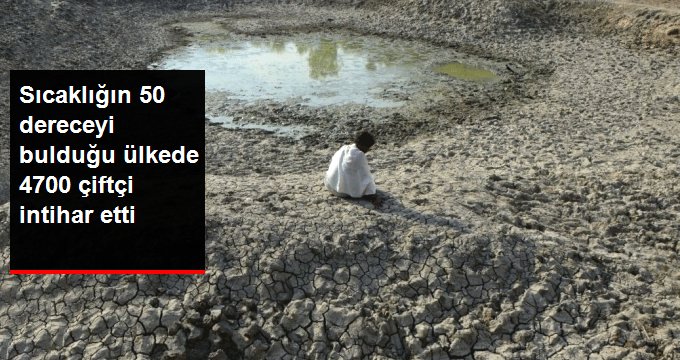 Sıcaklığın 50 dereceyi aştığı ülkede kuraklık felaketi: 5 yılda 4 bin 700 çiftçi intihar etti