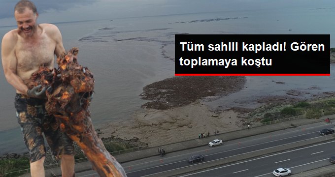 Selin sürüklediği ağaçlar deniz yüzeyini kapladı, vatandaşlar topladı