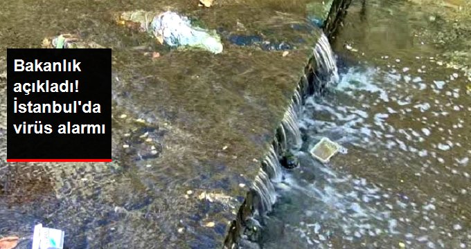 Bakanlık açıkladı! İstanbul’da virüs alarmı