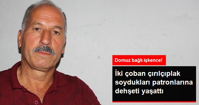 Patronlarını domuz bağıyla bağlayıp işkence yaptılar