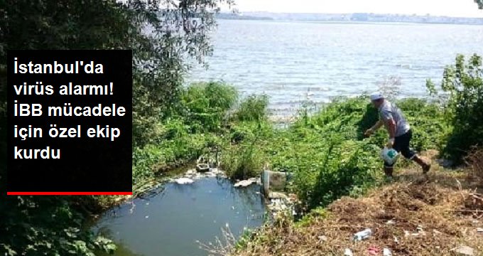 İstanbul’da virüs alarmı! İBB mücadele için özel ekip kurdu
