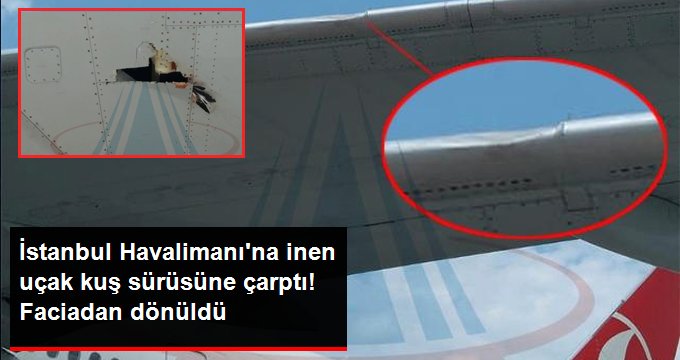 İstanbul Havalimanı’na inen uçak kuş sürüsüne çarptı, seferden çekildi