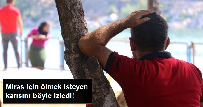 Miras için ölmek isteyen karısını ağaca yaslanarak izledi!