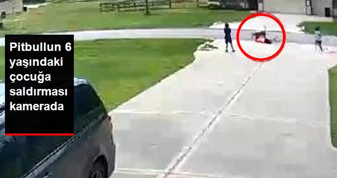 Pitbullun 6 yaşındaki çocuğa saldırması kameraya yansıdı