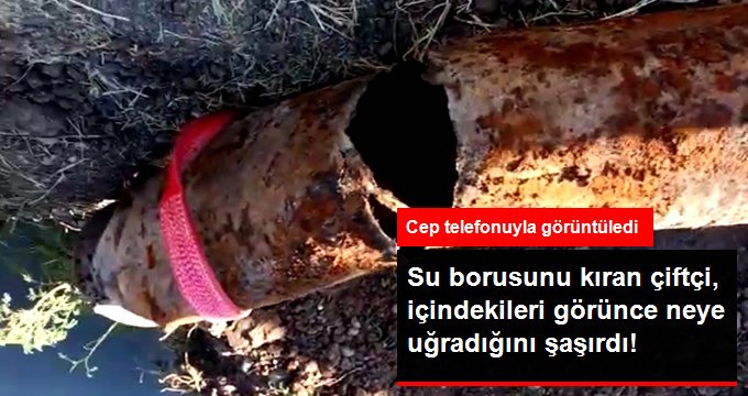 Kazayla su borusunu kıran çiftçi içinden çıkanları görünce şaşkına döndü