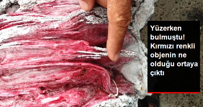 Yüzerken bulduğu kırmızı renkli objenin ne olduğu ortaya çıktı!